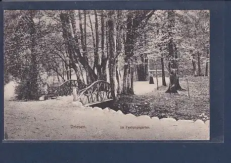 AK Driesen  im Festungsgarten 1925