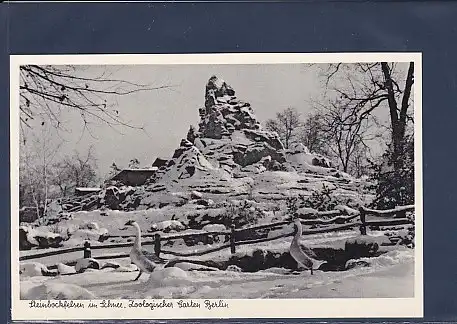 AK Steinbockfelsen im Schnee. Zoologischer Garten Berlin 1950