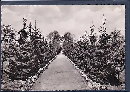 AK Kloster Zum Guten Hirten im Park - Tannenallee Berlin Marienfelde 1960