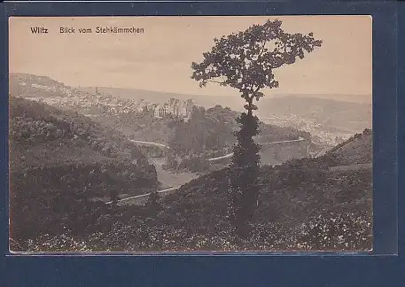 AK Wiltz Blick vom Stehkämmchen 1920