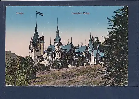 AK Sinaia Castelul Peles 1917