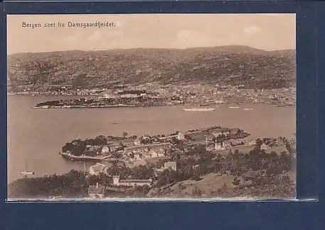 AK Bergen seet Fra Damsgaardfjeldet 1920