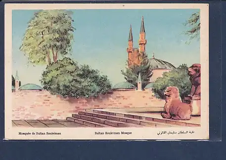 AK Mosquee de Sultan Souleiman  Sultan Souleiman Mosque 1940