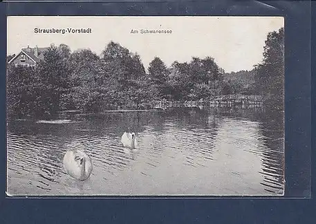 AK Strausberg-Vorstadt Am Schwanensee 1925