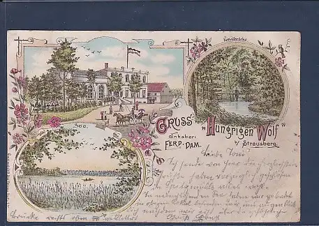 Litho AK Gruss vom Hungrigen Wolf b. Strausberg 3.Ansichten 1897