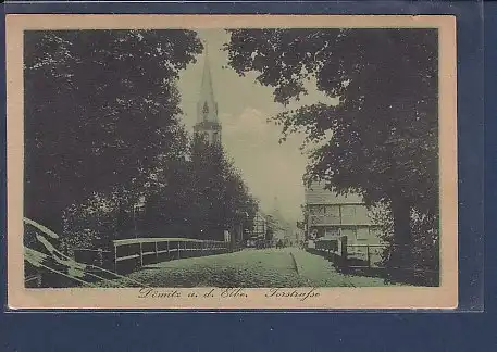 AK Dömitz a.d. Elbe Torstrasse 1925