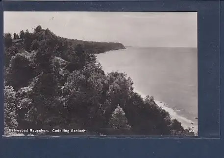AK Ostseebad Rauschen Codolling-Schlucht 1930