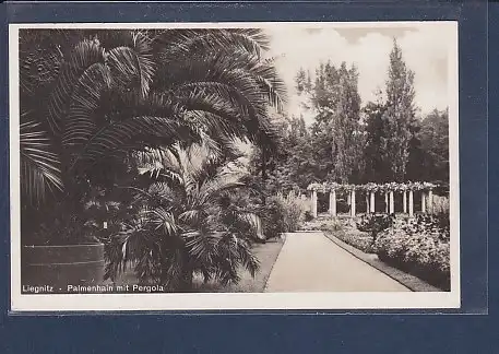 AK Liegnitz Palmenhain mit Pergola 1940