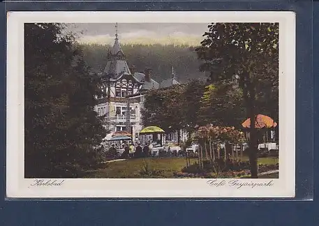 AK Karlsbad Cafe Geysirpark 1920