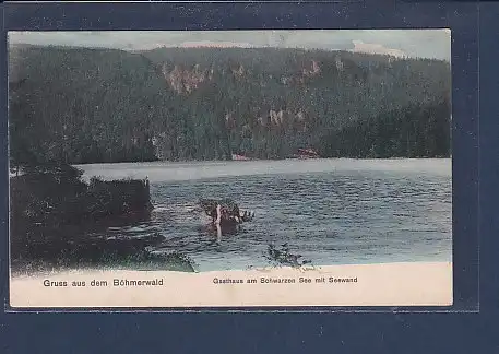 AK Gruss aus dem Böhmerwald Gasthaus am Schwarzen See 1920