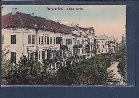 AK Franzensbad Salzquellstraße 1920