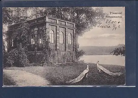 AK Pfaueninsel Borkenhäuschen 1911