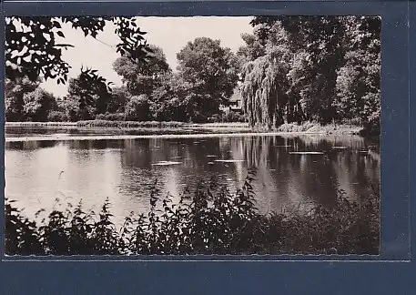 AK Berlin Blankenburg Am Teich 1961