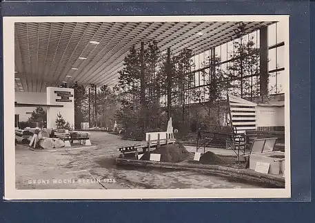 AK Grüne Woche Berlin 1956