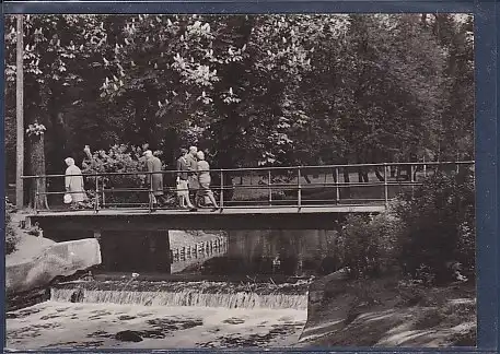 AK Berlin Pankow Die Panke im Bürgerpark 1965