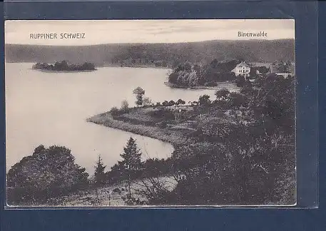 AK Ruppiner Schweiz Binenwalde 1920