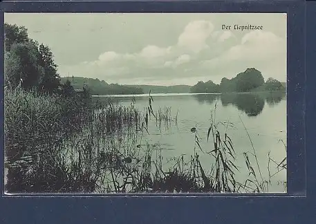 AK Der Liepnitzsee 1911