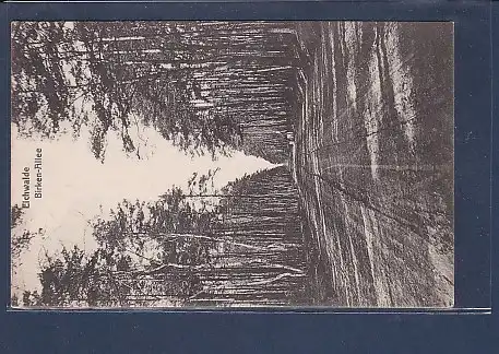 AK Eichwalde Birken - Allee 1915