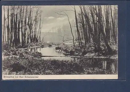 AK Briesethal bei Bad Birkenwerder 1912