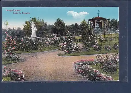 AK Sangerhausen Partie im Rosarium 1920