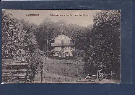 AK Neustrelitz Schweizerhaus in den Serrahnschen Bergen 1920