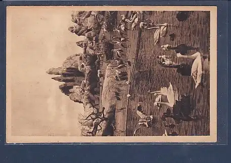 AK Carl Hagenbeck´s Tierpark Vogelteich mit Felspartie 1925