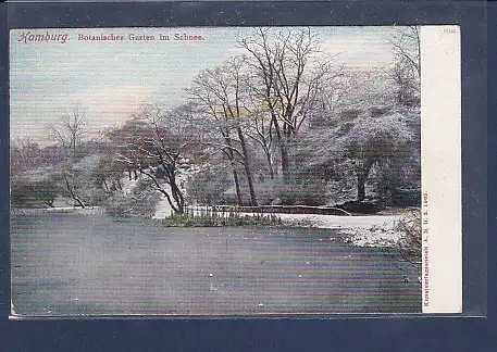 AK Hamburg Botanischer Garten im Schnee 1905