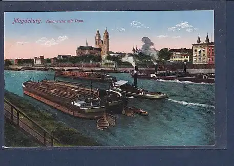 AK Magdeburg Elbansicht mit Dom 1920