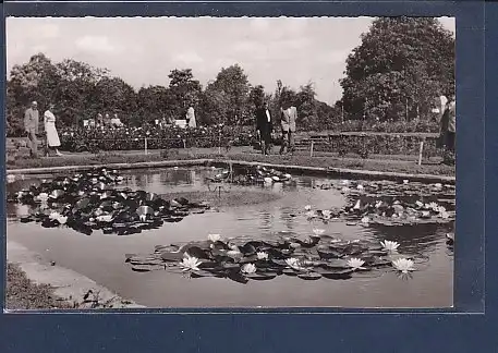 AK Botanischer Garten Essen 1960