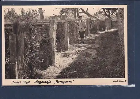 Photo AK Insel Sylt Vogelkoje Fangarm 1940