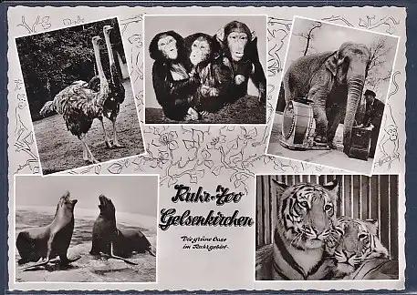 AK Ruhr Zoo Gelsenkirchen 5.Ansichten 1962