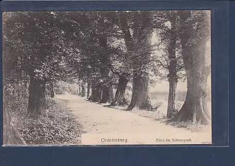 AK Oranienburg Allee im Schlosspark 1909
