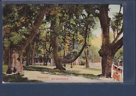 AK Biesental Am Stadtpark 1909