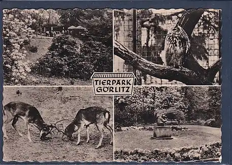AK Tierpark Görlitz 4.Ansichten 1963