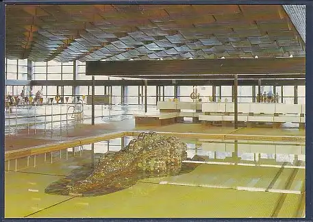AK Ostseebad Zinnowitz Meerwasserhallenbad Kinderplanschbecken 1987