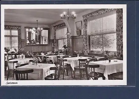 AK Hotel Pension Tannhäuser St. Blasien / Schwarzwald 1953