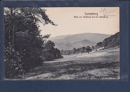 AK Sonneberg Blick vom Stadtberg auf den Schloßberg 1925