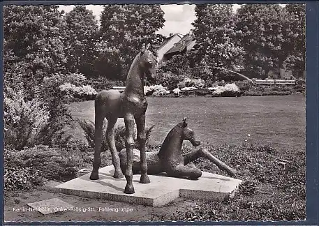 AK Berlin Neukölln Onkel Bräsig Str.  Fohlengruppe 1960