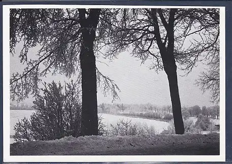 AK Landstraße zwischen Nikolaiken und Sensburg 1976 Ostpreußenkalender 1980