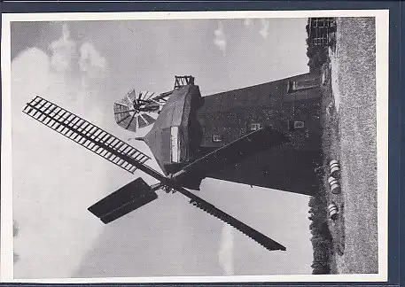 AK Elbinger Niederung Holländermühle Ostpreußenkalender 1964