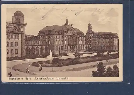 AK Frankfurt a. Main Senkenbergianum ( Universität) 1928