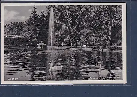 AK Welzheim Feuersee m. Schwanenpaar 1940