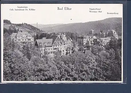 AK Bad Elster Sanatorium - Palast Hotel Wettiner Hof 1930