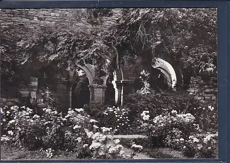 AK Memleben ( Kr. Nebra) Klosterruine ( unter Denkmalschutz) 1985