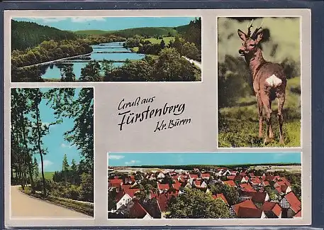 AK Gruß aus Fürstenberg Kr. Büren 4.Ansichten 1965