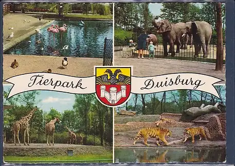 AK Tierpark Duisburg 4.Ansichten 1966