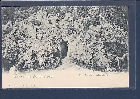 AK Gruss aus Schöneberg Bot. Garten - Alpenflora 1910
