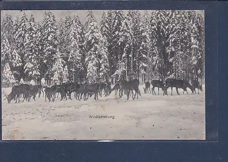 AK Wildfütterung 1912
