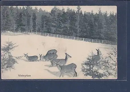 AK Wintergrüsse Rehe 1920