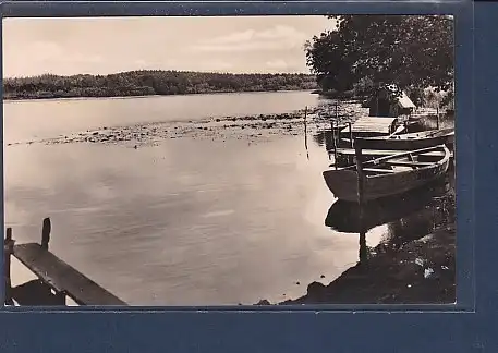 AK Neuglobsow - Am Dagow See 1962